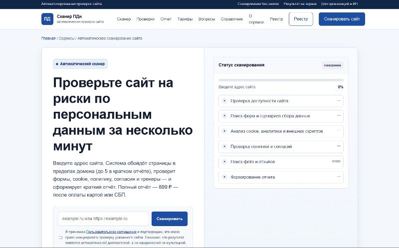 Сканер: ввод домена и этапы автоматической проверки